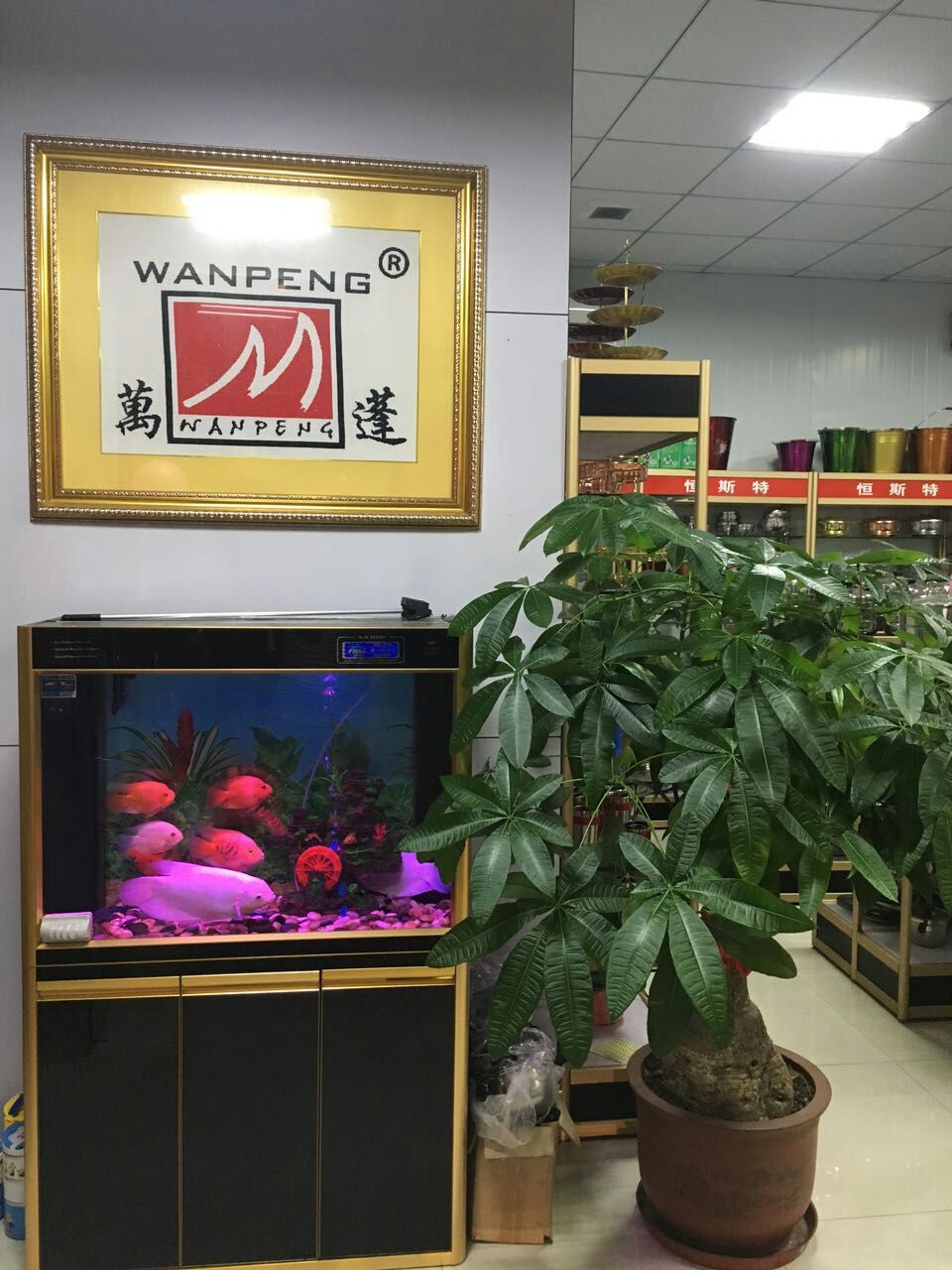 QQ图片20170223164107